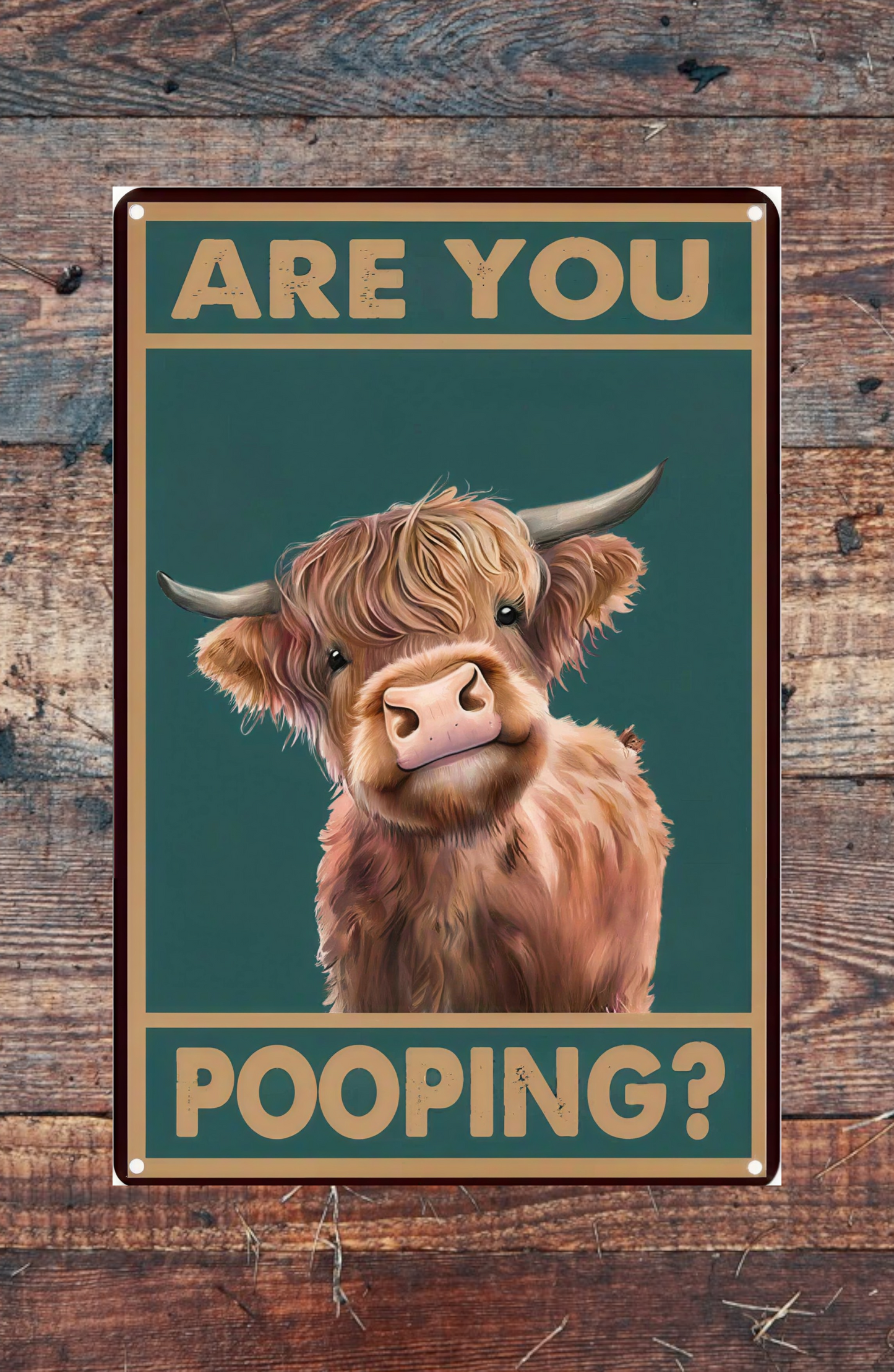 Novelty Printed Metal Signs