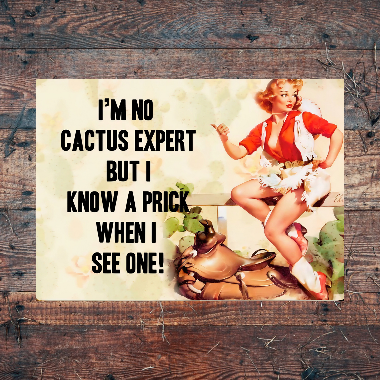 Novelty Printed Metal Signs