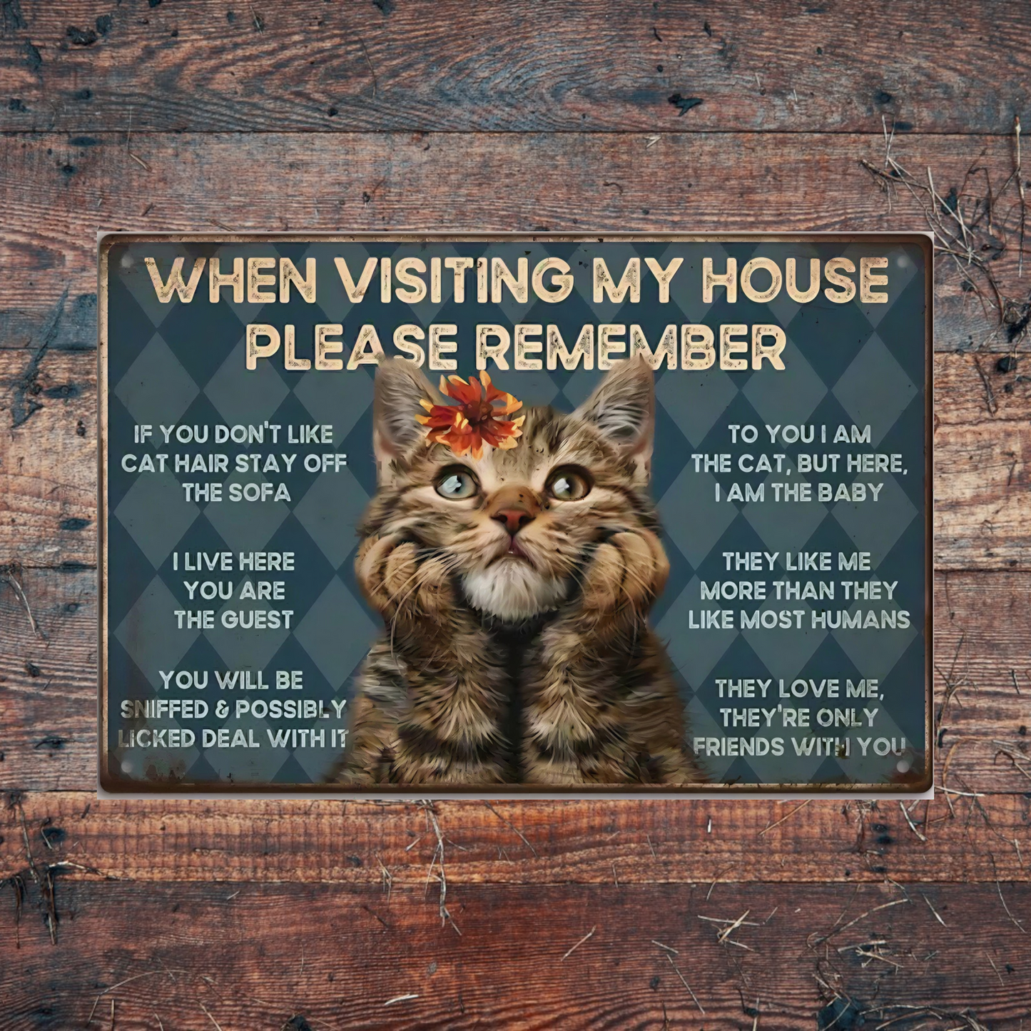 Novelty Printed Metal Signs
