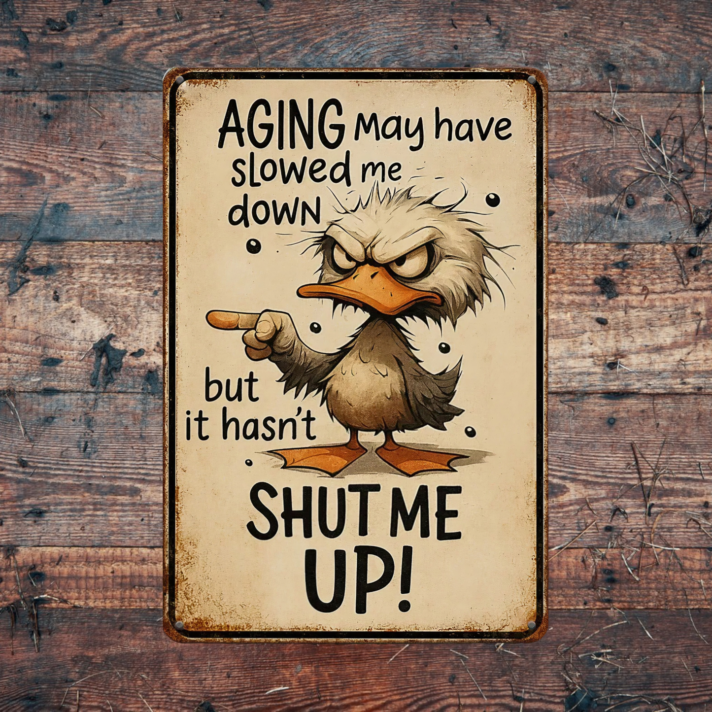 Novelty Printed Metal Signs