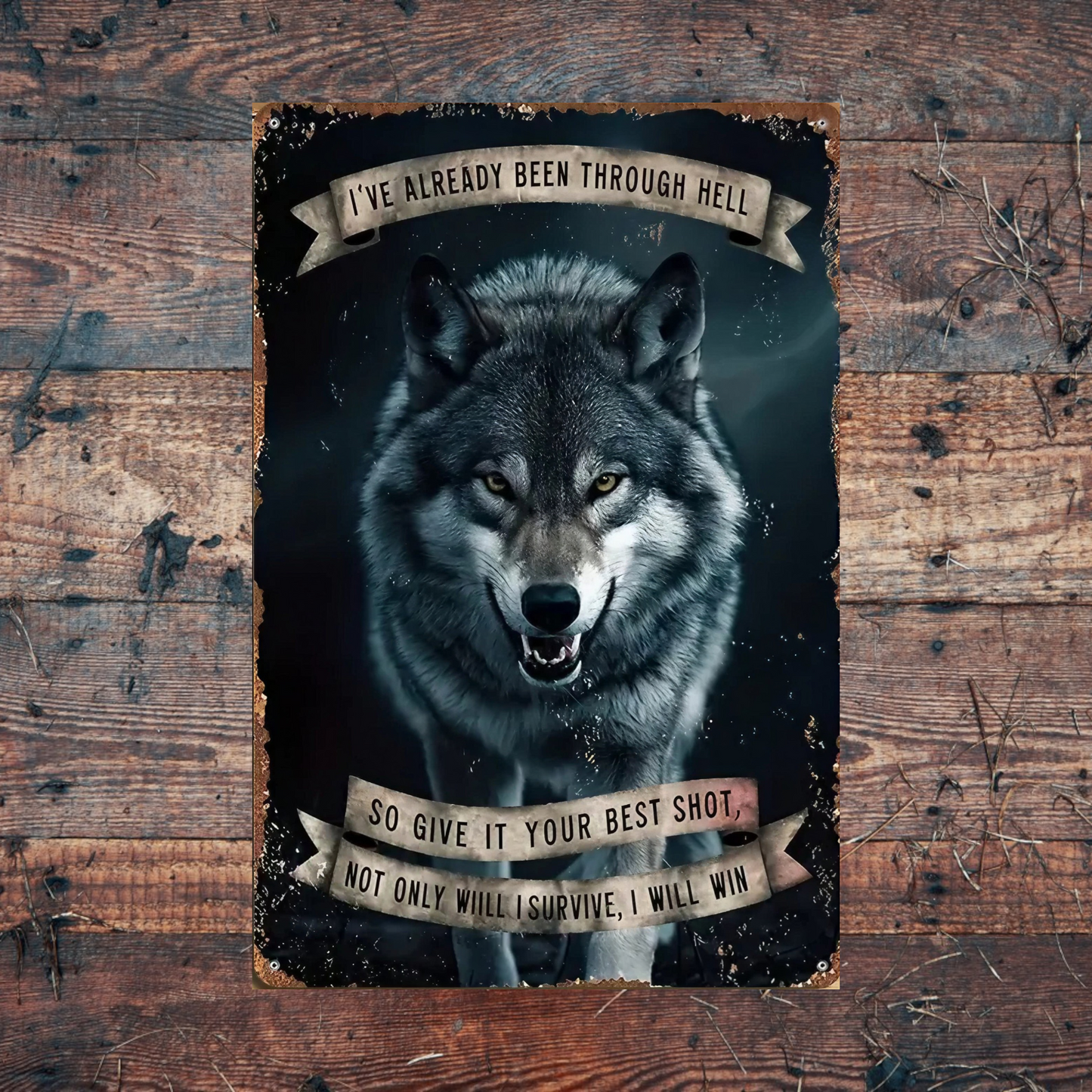 Novelty Printed Metal Signs