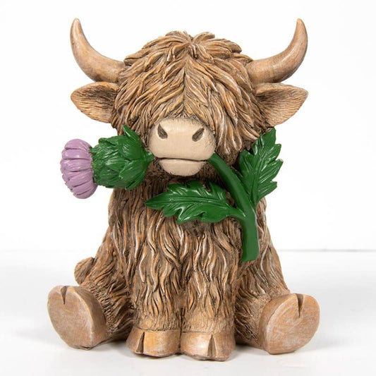 LP75341 - Highland Cow With Thistle